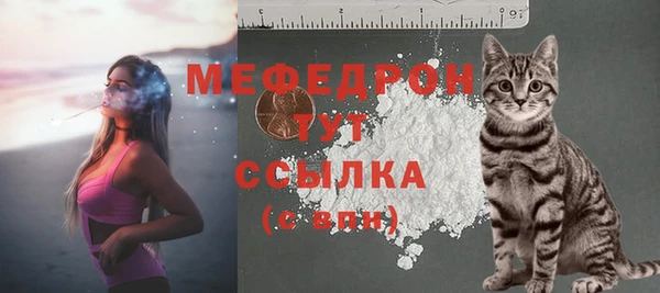 соль ск Михайлов
