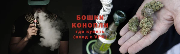 сатива Навашино