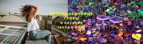 соль ск Михайлов