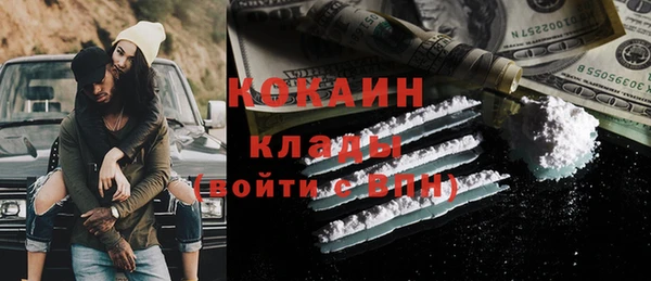 дмт Мегион