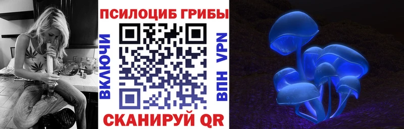 blacksprut вход  закладки  Мыски  Псилоцибиновые грибы Cubensis 