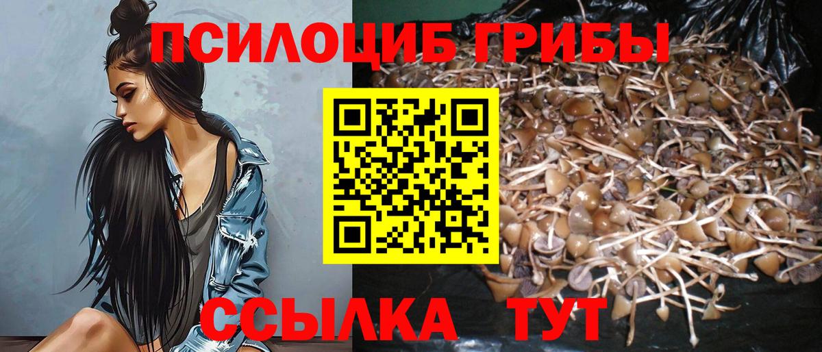 Галлюциногенные грибы GOLDEN TEACHER  Галлюциногенные грибы GOLDEN TEACHER  Мыски 