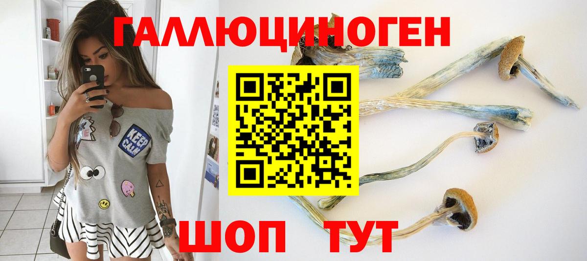 где можно купить   Галлюциногенные грибы MAGIC MUSHROOMS  Мыски  Вход с VPN  Псилоцибиновые грибы прущие грибы 